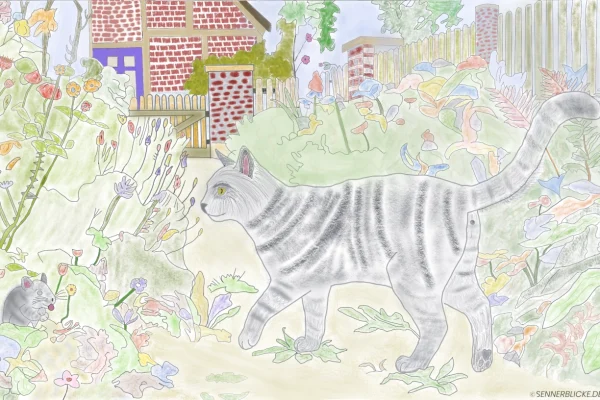 Die Katze und die freche Maus