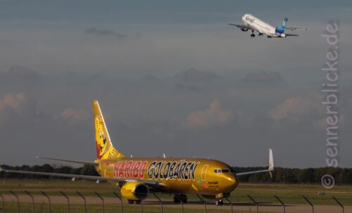 Goldbärchen B737-800
