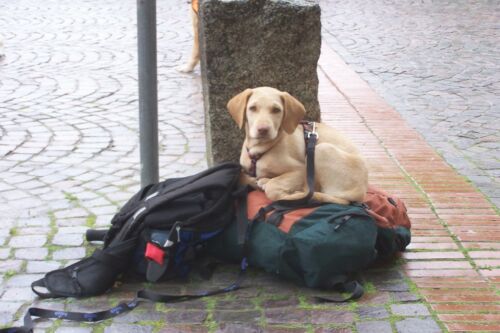 Bei Regen auf dem nassen Boden liegen? Nicht mit mir :-))