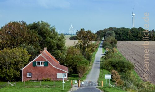 Manslagt Strand