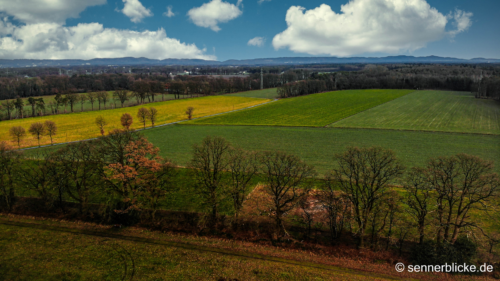 Blick aus der Höhe (Drohne) Richtung Verl