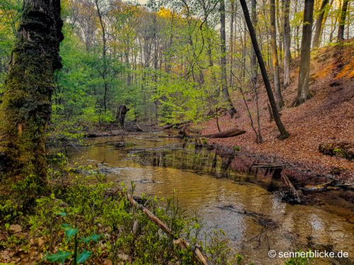 Fuhrbachtal am Bach