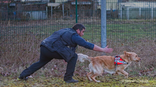 Malu