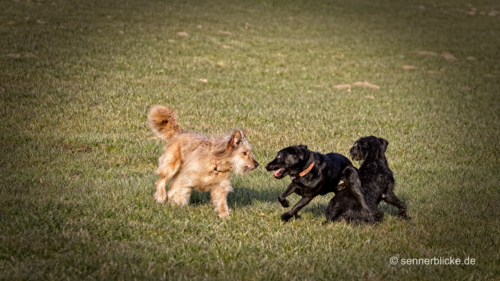 Nelda, Yuma und Miller