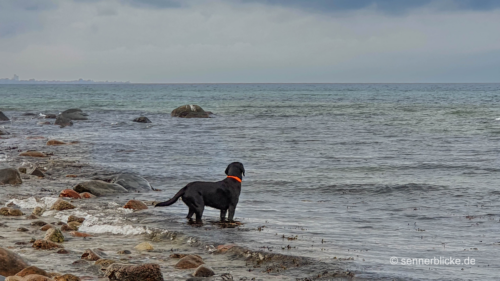Urlaub auf Fehmarn